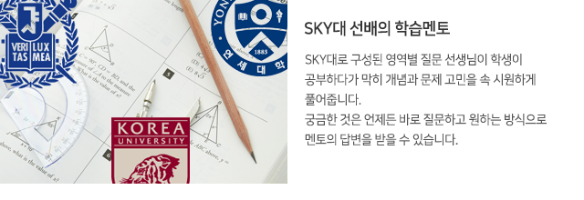 sky대 선배의 학습멘토