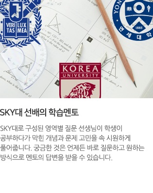 SKY대 선배의 학습멘토