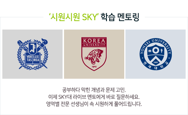 시원시원 sky 학습 멘토링