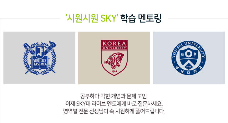 시원시원 sky 학습 멘토링